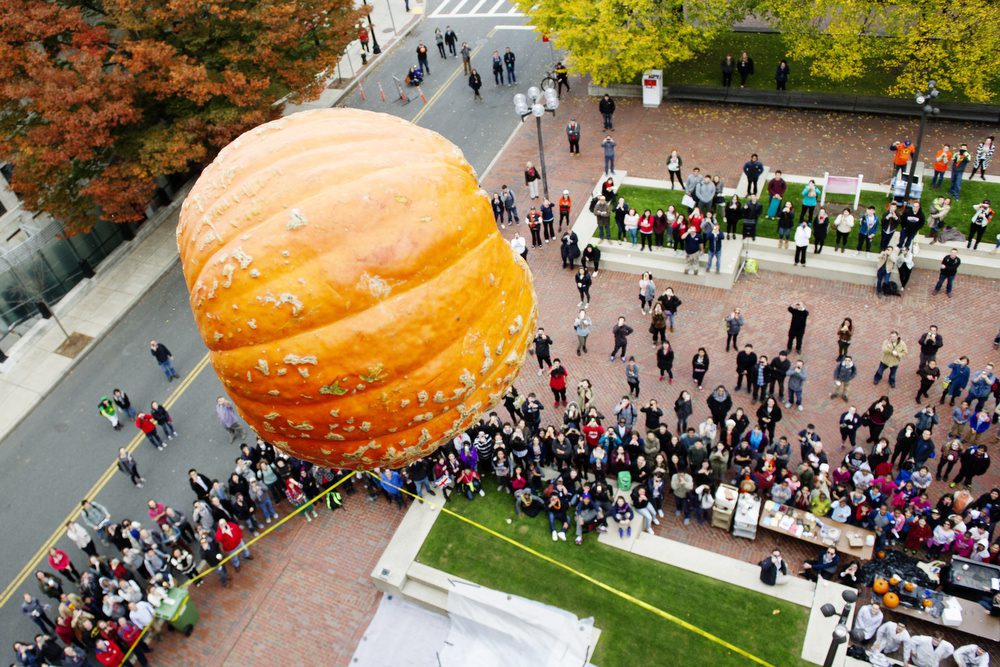 10/31/14 -- Boston, Massachusetts  A pumpkin falls from the roof of Metcalf Science Center during the annual "Pumpkin Drop" on Friday October 31, 2014 . Photo By Jackie Ricciardi for Boston University Photography